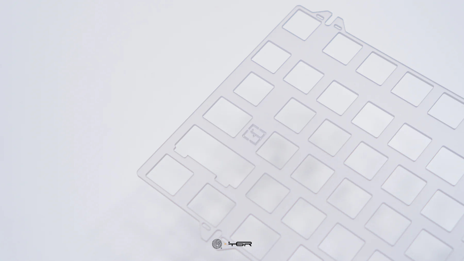 QIAGEN Multiplex PCR Plus Kit